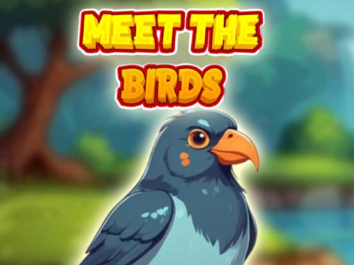 You are currently viewing Meet The Birds
